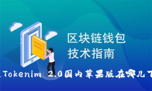 你知道Tokenim 2.0国内苹果版在哪儿下载吗？