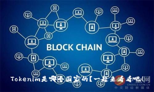 Tokenim是哪个国家的？一起来看看吧！