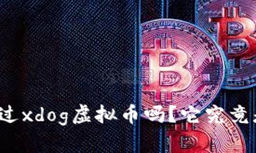 你听说过xdog虚拟币吗?它究竟是什么?
