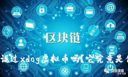 你听说过xdog虚拟币吗?它究竟是什么?