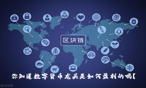 你知道数字货币龙头是如何盈利的吗？