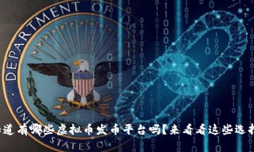 你知道有哪些虚拟币发币平台吗?来看看这些选择吧!