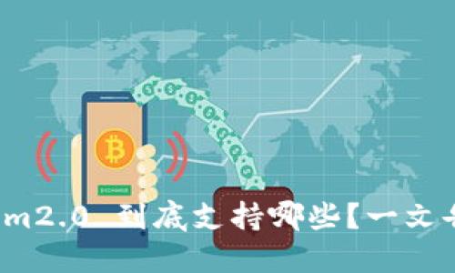 Tokenim2.0 到底支持哪些?一文告诉你!