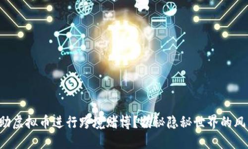如何借助虚拟币进行跨境赌博？揭秘隐秘世界的风口浪尖！
