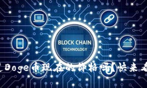 你知道Doge币现在的价格吗?快来看看吧!