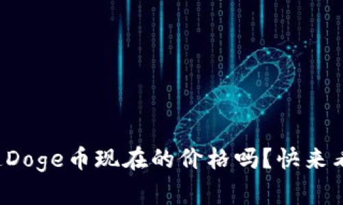 你知道Doge币现在的价格吗?快来看看吧!