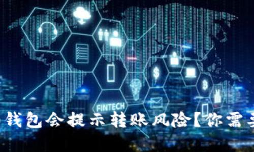 为什么Tokenim 2.0钱包会提示转账风险？你需要了解的五个关键点！