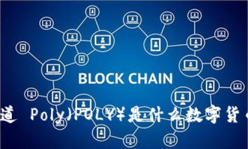 你知道 Poly（POLY）是什么数字货币吗？