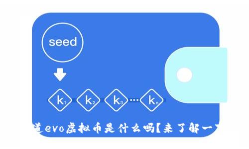 你知道evo虚拟币是什么吗？来了解一下吧！