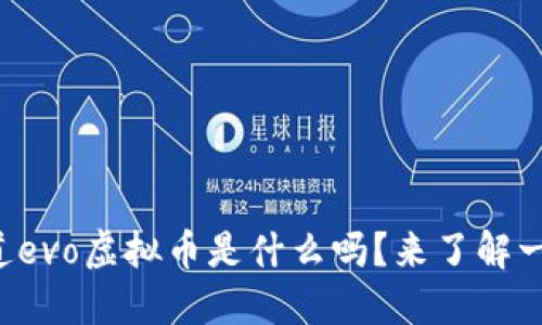你知道evo虚拟币是什么吗？来了解一下吧！