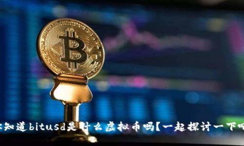 你知道bitusd是什么虚拟币吗？一起探讨一下吧！