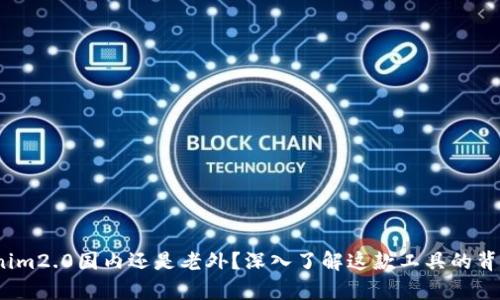  uburyotokenim2.0国内还是老外？深入了解这款工具的背景和未来方向！