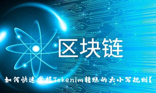 如何快速掌握Tokenim转账的大小写规则？