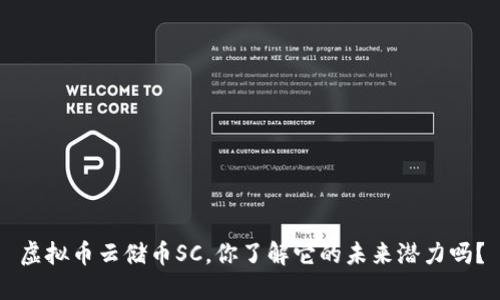 虚拟币云储币SC，你了解它的未来潜力吗？