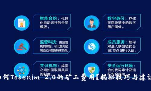 如何Tokenim 2.0的矿工费用?揭秘技巧与建议!