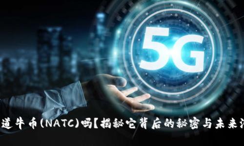 你知道牛币(NATC)吗？揭秘它背后的秘密与未来潜力！