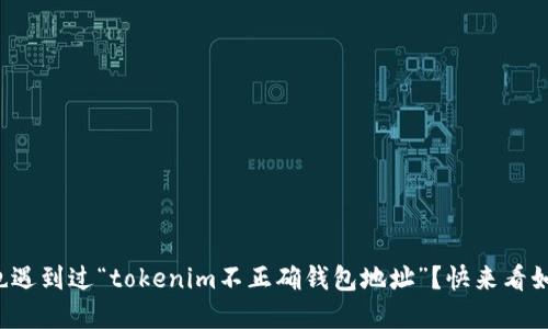 你是否也遇到过“tokenim不正确钱包地址”？快来看如何解决！