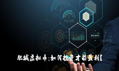 肥城虚拟币：如何投资才能盈利？