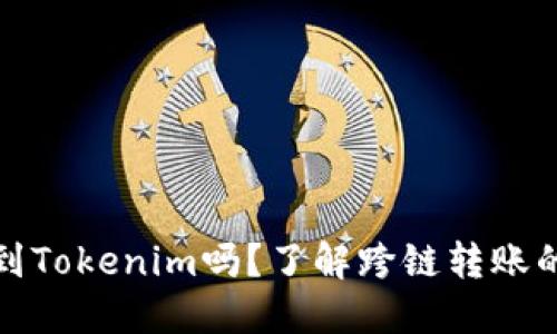 瑞波币能转到Tokenim吗？了解跨链转账的操作和风险