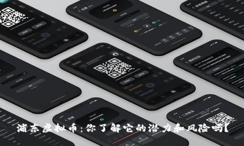 浦东虚拟币：你了解它的潜力和风险吗？