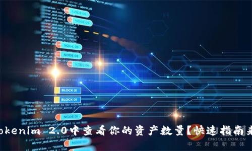 怎么在Tokenim 2.0中查看你的资产数量？快速指南来帮助你！