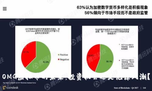 OMG虚拟币的未来：投资机会还是泡沫风潮？