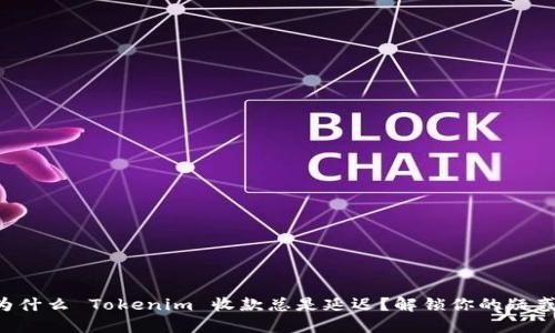 为什么 Tokenim 收款总是延迟？解锁你的疑惑！