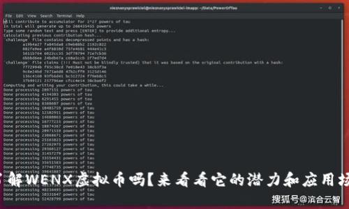 你了解WENX虚拟币吗？来看看它的潜力和应用场景！