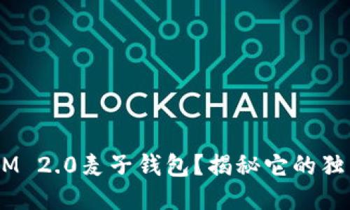 什么是TokenIM 2.0麦子钱包？揭秘它的独特魅力与功能！