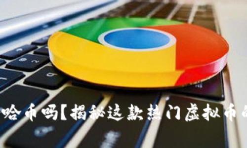 你听说过爱哈币吗？揭秘这款热门虚拟币的背后故事！