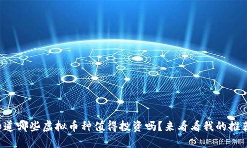 你知道哪些虚拟币种值得投资吗？来看看我的推荐吧！