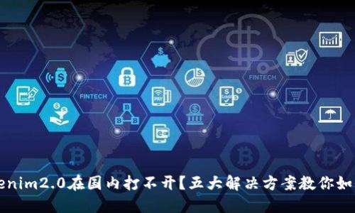 为什么tokenim2.0在国内打不开？五大解决方案教你如何轻松访问