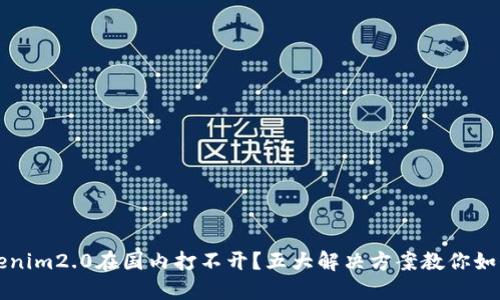 为什么tokenim2.0在国内打不开？五大解决方案教你如何轻松访问