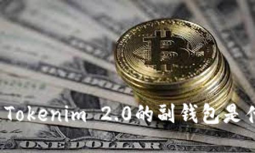 你知道Tokenim 2.0的副钱包是什么吗？