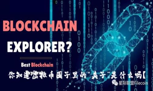 你知道虚拟币圈子里的“夹子”是什么吗？