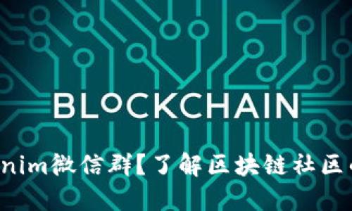 如何加入Tokenim微信群？了解区块链社区的乐趣与机会！