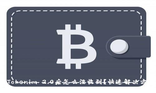 转账到Tokenim 2.0后怎么没收到？快速解决方法揭秘！