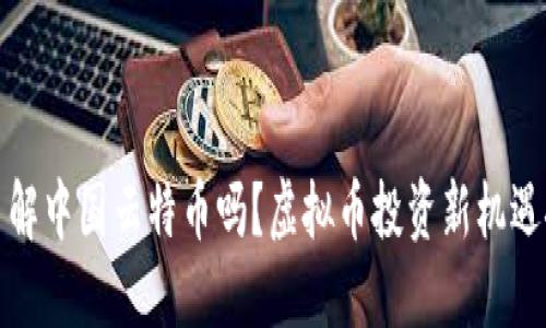 你了解中国云特币吗？虚拟币投资新机遇探讨