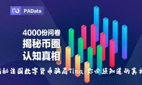 揭秘法国数字货币骗局Tina：你必须知道的真相！