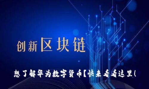 想了解华为数字货币？快来看看这里！