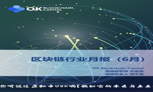 你听说过虚拟币USK吗？揭秘它的本质与未来！