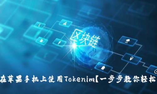 如何在苹果手机上使用Tokenim？一步步教你轻松搞定！