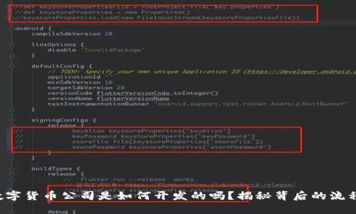 你知道数字货币公司是如何开发的吗？揭秘背后的流程与技巧！