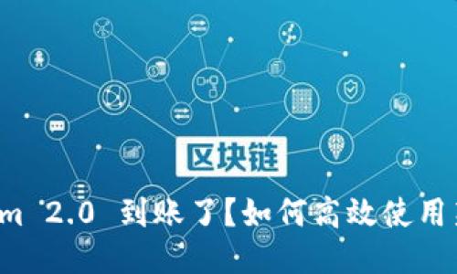 Tokenim 2.0 到账了?如何高效使用新版本!
