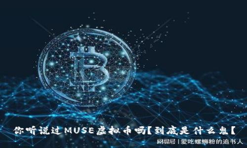 你听说过MUSE虚拟币吗？到底是什么鬼？