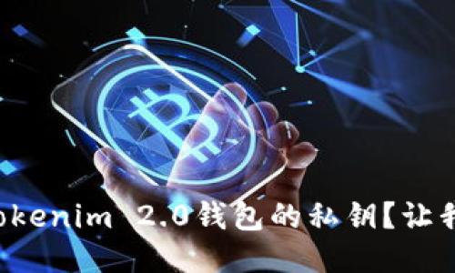 如何轻松导入Tokenim 2.0钱包的私钥？让我们一步一步来！