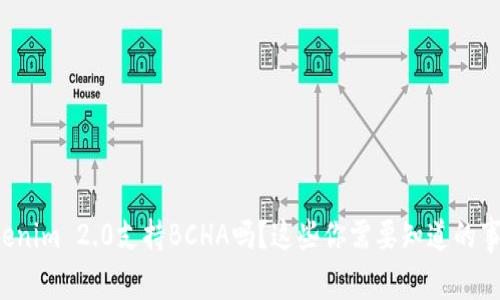 Tokenim 2.0支持BCHA吗？这些你需要知道的事情!