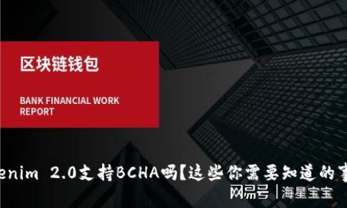 Tokenim 2.0支持BCHA吗？这些你需要知道的事情!