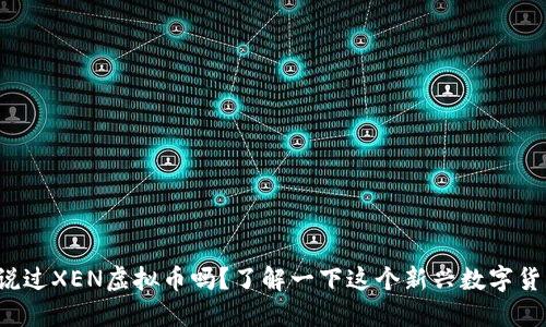 你听说过XEN虚拟币吗？了解一下这个新兴数字货币吧！