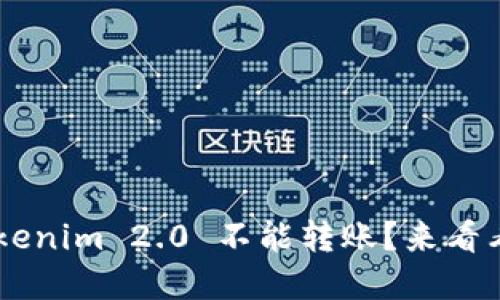 “为什么我的 Tokenim 2.0 不能转账？来看看这些解决方案！”